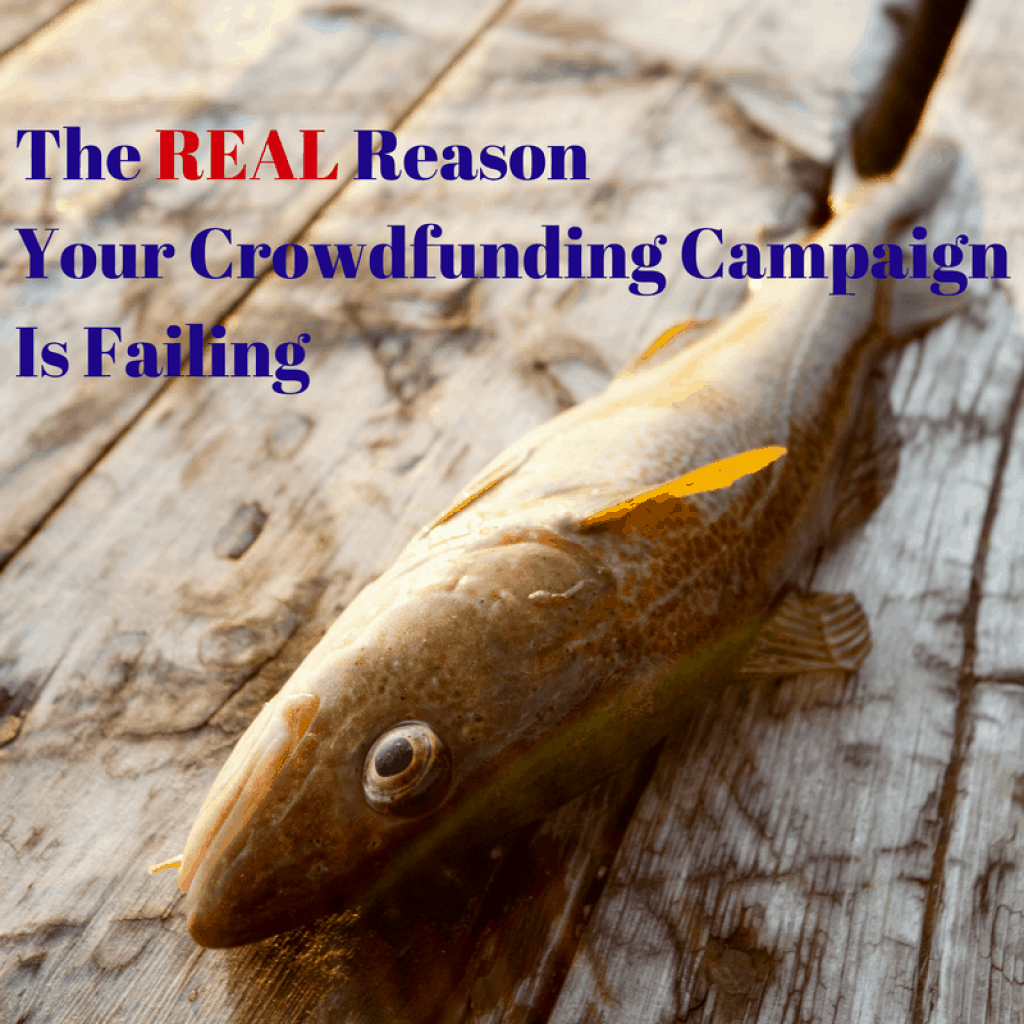 crowd funding for business, crowdfunding, Crowdfund Better, small business, alternative capital, alternative funding, crowdfunding campaign failing